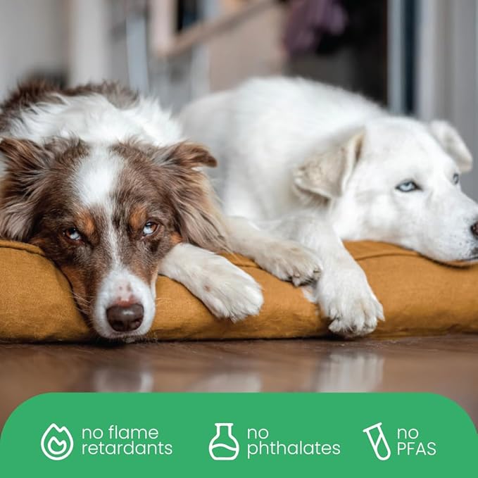 Molly Mutt Fast Car Dog Bed Duvet Cover, GOTS-Certified 100% Cotton Canvas Cover for Dog, Puppy, or Cat Bed, Durable, Washable, and Free of Harmful Chemicals, Huge, 36"x45"x5", Mustard Yellow