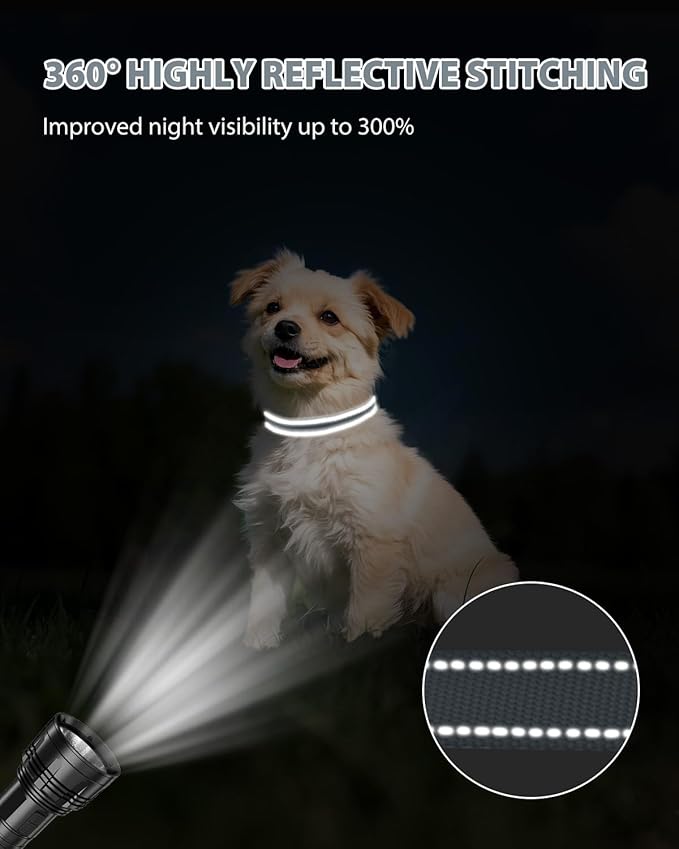 Joytale Small Dog Collar, Reflective and Adjustable Nylon Collar with Quick-Release Buckle, Lightweight No-Choke Design for Small Dogs, Gray, 5/8" Width