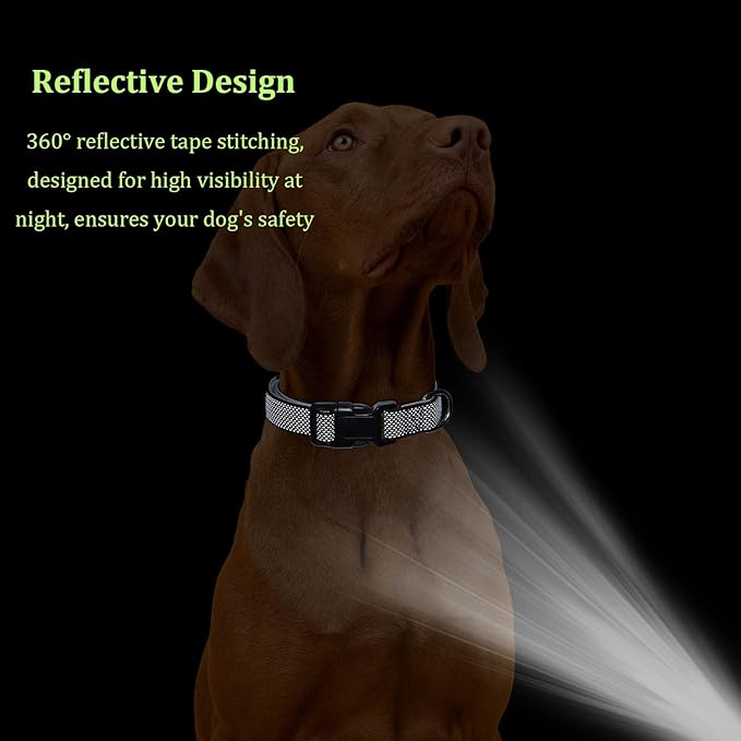 Reflective Dog Collar, Sturdy Nylon Collars with Quick Release Buckle, Adjustable Dog Collar for Puppy and Small Medium Large Girl and Boy Dogs (Orange, Large)