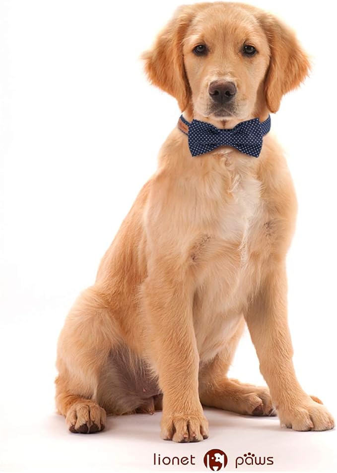 Lionet Paws Boy Dog Collar with Bowtie, Comfortable Adjustable Cute Navy Blue Bow Tie Collar for Male Puppies and Cats Gift, XS, Neck 8-12 inches