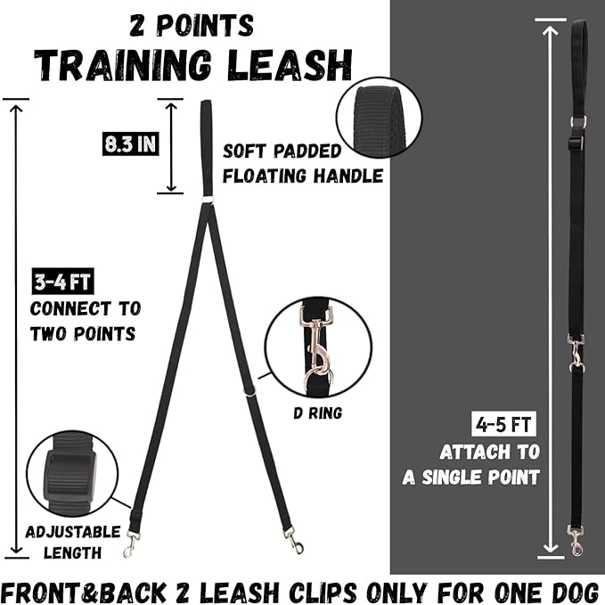 DF Martingale No Pull Dog Harness and Two Point Control Training Leash for Dog Walking Only Works with Martingale Harnesses, Black, Chest 19"-22"