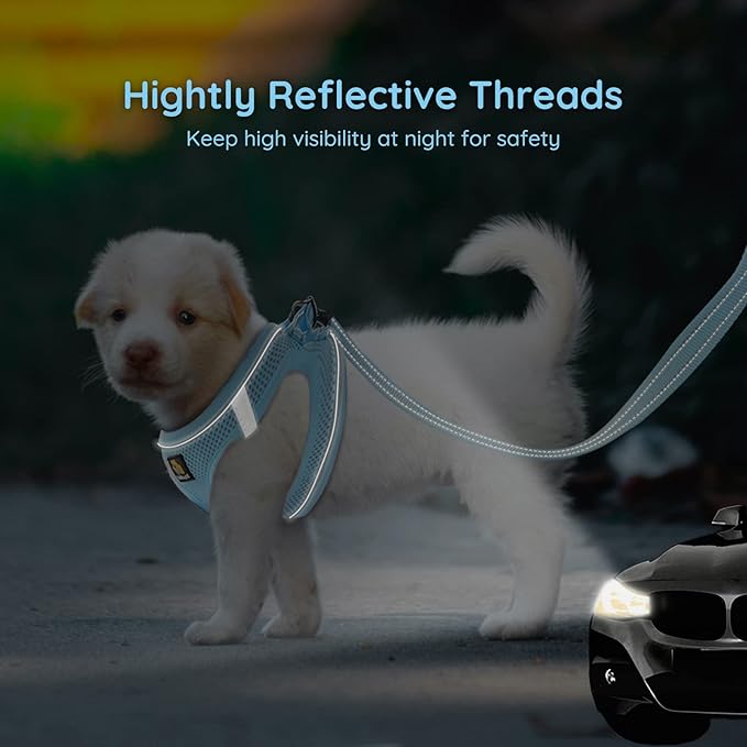 BELLA & PAL Puppy Harness with Leash Set, Step in Harness for Small Dogs, Dog Air Mesh Dog Vest Harness with Reflective Strip, No Pull No-Chock Harness for XXS, XS, Small, Medium Dog Cat (Sky Blue,M)