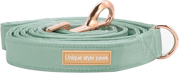 Unique style paws Silk Dog Leash Durable Dog Leashes with Welded D-Ring Comfortable Handle for Small Medium Large Dogs