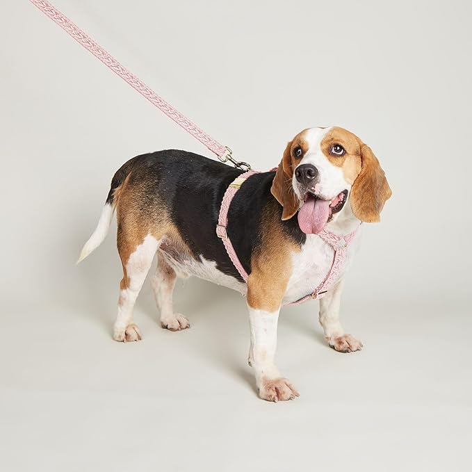 Large Dog Harness and Leash Set, Adjustable No Pull Pet Halter Harness with Flower & Metal Buckle, Easy Control for Training Walking, Pink,M