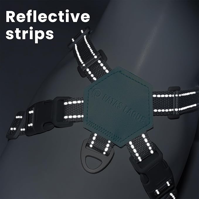 Patas Lague Dog Harness with Leash Set Adjustable Soft Padded Step-in Dog Vest No Choke No Pull Reflective for Small Pets with Poop Bags and Dispenser, Solid and No-chew, Green XS