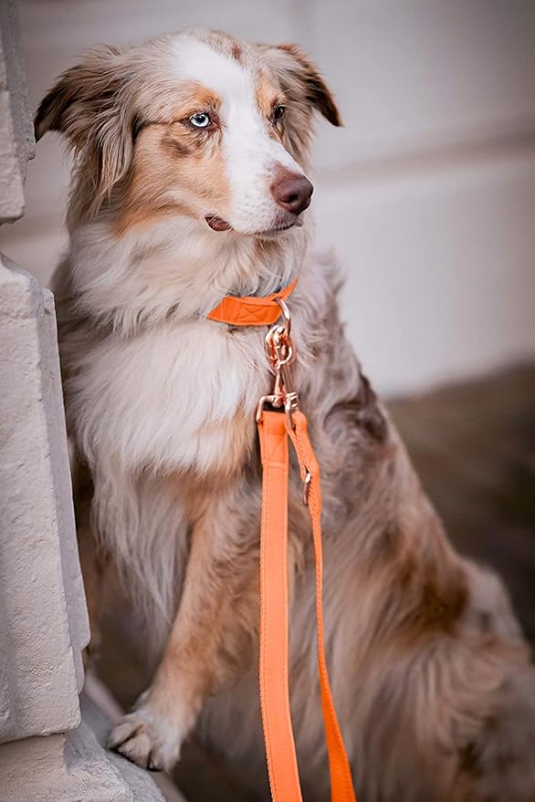Soft Leather Dog Collar and Leash (6.6') Set - Stylish Rose Gold Heavy Duty Metal Buckle, 4 Adjustable Lengths Leash for Small Medium Large Dogs - Comfortable & Easy to Clean Orange L(15.4"-24.8")