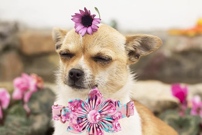 Lionheart Glory Dog Collar, Pink Dog Collar with Flower, Cute Floral Pattern Pet Collar Adjustable Dog Collar for Small Dogs