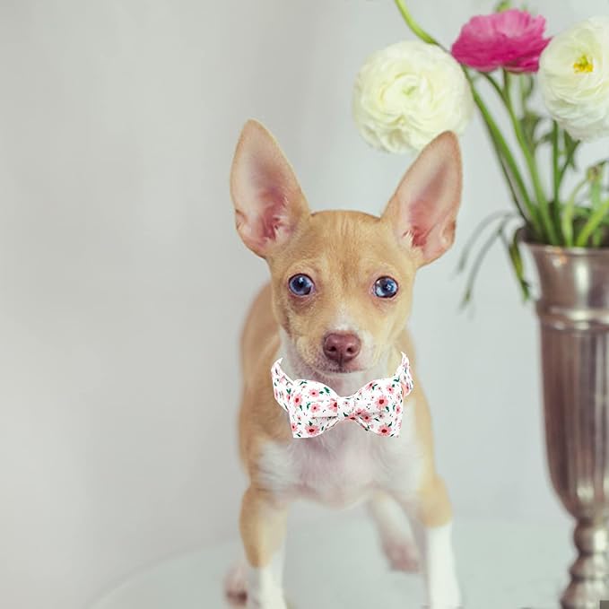 Dog Collar - Floral Pet Collar Bows for Dogs Bowtie Adjustable Puppy Collar Girl Pet Gift Spring Collar for Medium Small Large Dogs
