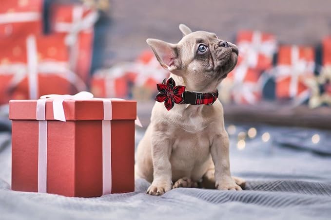 Lionet Paws Christmas Dog Collar with Flower, Dog Flower Collar with Metal Buckle for Dogs, Adjustable Comfortable Dog Collar Girl Gift, S, Neck 10-16 in