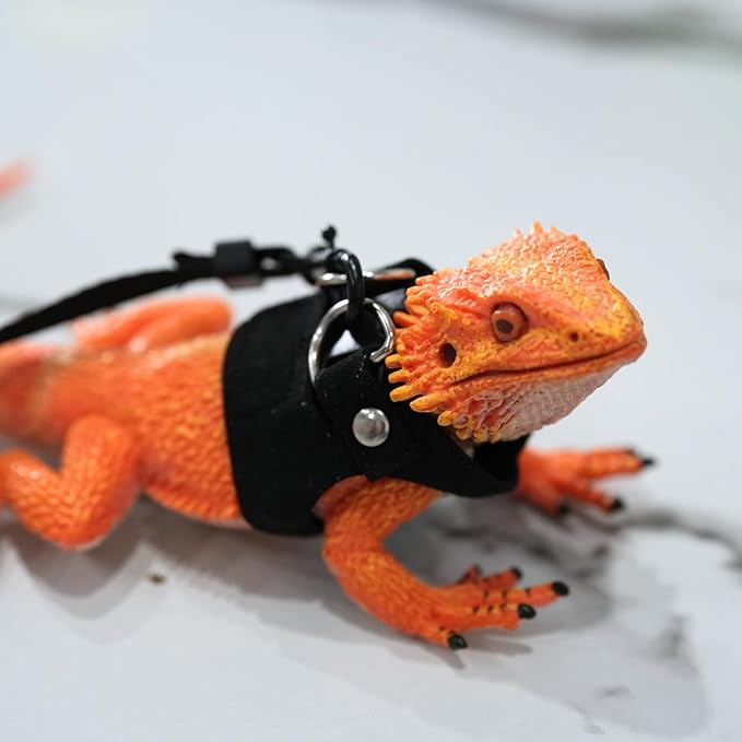 Bearded Dragon Harness and Leash Set, Adjustable Harness Soft Leather-3 Sizes (S, M, L) with Leash, Lizard Reptile Traction Rope Walking Vest Accessories for Bearded Dragon, Iguana or Gecko (Black)