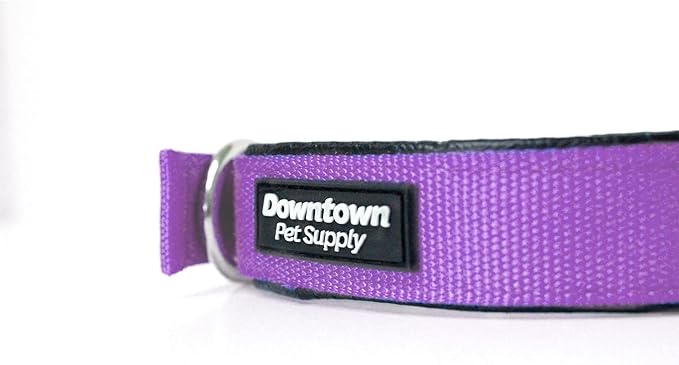 Downtown Pet Supply Deluxe Dog Collar - Padded Adjustable Dog Collar with Metal Buckle & D-Ring - Machine Washable & Water Resistant Thick Dog Collar - Purple - S - Small Dog Collar