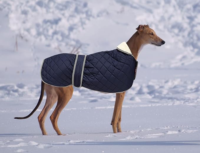 Warm Thermal Quilted Greyhound Coat with Harness Hole, Dog Winter Coat with Warm Fleece Lining, Outdoor Dog Apparel for Medium, Large Dog -Blue-XS