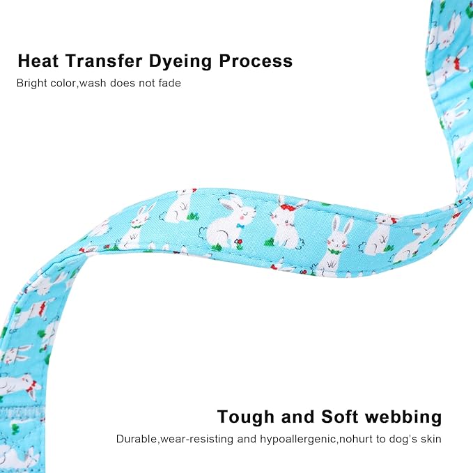 Lionet Paws Easter Dog Collar, Comfortable Adjustable Blue Rabbit Collar with Bunny Rabbit for Small Male Female Dogs Collars, Neck 10-16 inches