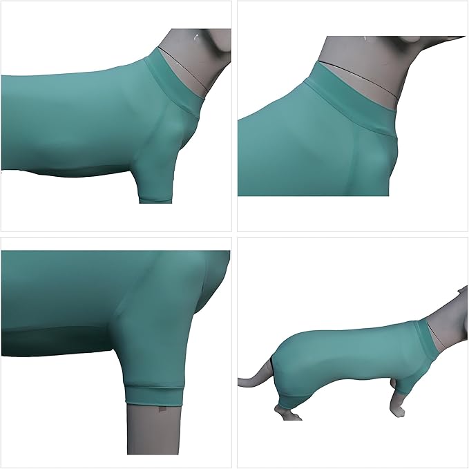 LoveLongLong Dog Jumpsuit with UV Protection and Quick-Dry Fabric for Spring Summer Pet Pajamas Turquoise 2XL
