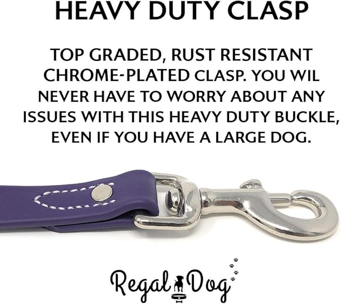 Regal Dog Products Small Purple Waterproof Dog Collar and Leash Set | Heavy Duty Double Buckle & D Ring - 5'ft Leash | Adjustable Biothane Dog Collar | Chew Resistant Waterproof Collar for Dogs