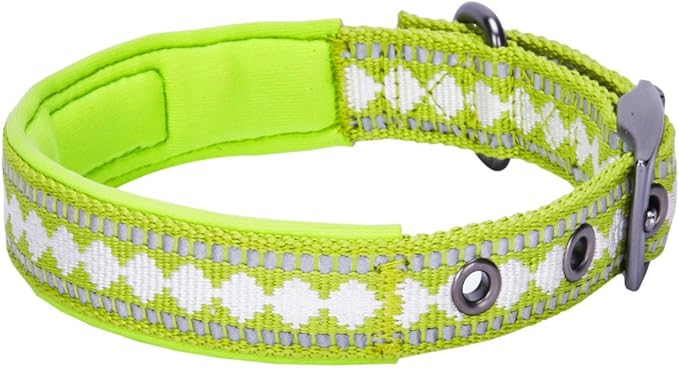 Blueberry Pet Soft & Safe 3M Reflective Jacquard Neoprene Padded Adjustable Dog Collar with Metal Buckle - Macaw Green, Neck 9-12.5", for Small Breed