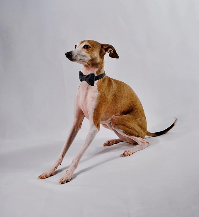 DOGWONG Hemp Cotton Dog Collar with Bow, Black Pet Collar Durable Adjustable Puppy Collar for Small Medium Large Dogs