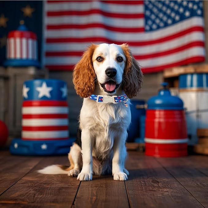 Lionet Paws 4th of July Dog Collar- Cute Blue Red Popsicle Dog Collars with Plastic Buckle and Icecream Pendant, Light Adjustable Dog Collars for Small Dogs