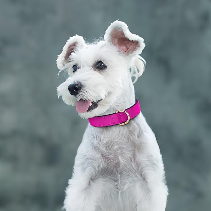 Didog Soft Padded Dog Collars for Medium Dogs, Lightweight and Breathable Dog Collar Waterproof with Metal Buckle, Rose Purple, L