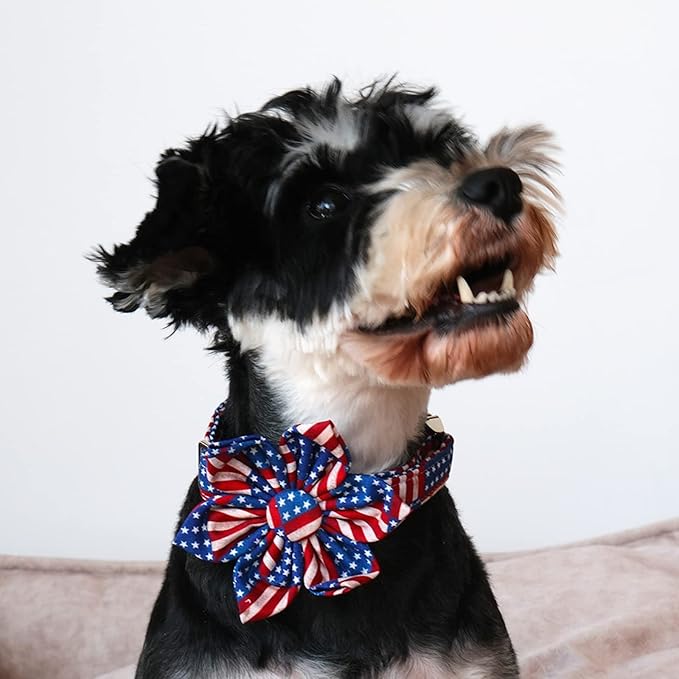 Lionet Paws Patriotic Female Dog Collar with Flower, 4th of July, Soft and Comfortable Adjustable American Flag Collar for Puppies and Cats, XS, Neck 8-12 inches