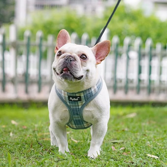 PUPTECK Soft Mesh Dog Harness and Leash Set Pet Puppy Cat Comfort Padded Vest No Pull Harnesses, Sky Blue, S