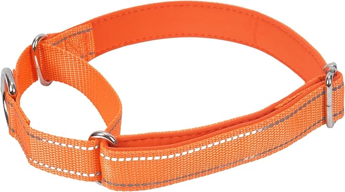 SGODA Martingale Dog Collar, Reflective Nylon Padded Dog Training Collars for Medium Dogs, Orange M