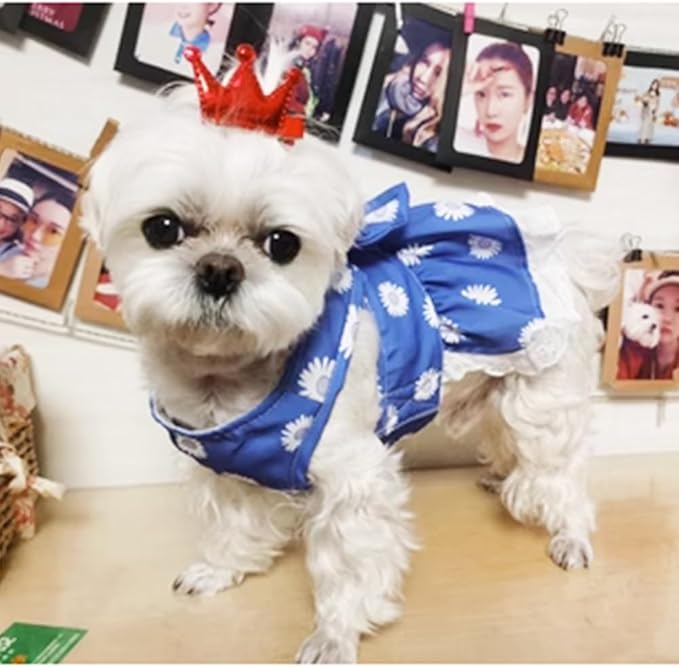 Dog Harness Dress for Small Dog Daisy Floral Dog Harness and Leash Set Bow Knot Girl Puppy Princess Skirt with D-Ring Mesh Summer Pet Clothes for Cat Dogs (Small, Blue)