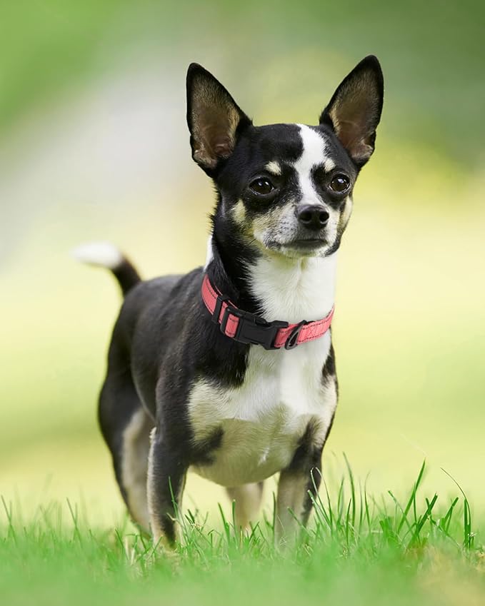 Joytale Reflective Dog Collar,Soft Neoprene Padded Breathable Nylon Pet Collar Adjustable for Puppy and Small Dogs,Neon Pink,XS