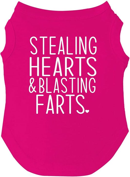 Stealing Hearts & Blasting Farts Valentine's Day Dog Tee Shirt Sizes for Puppies, Toys, and Large Breeds (Hot Pink, Small 983)