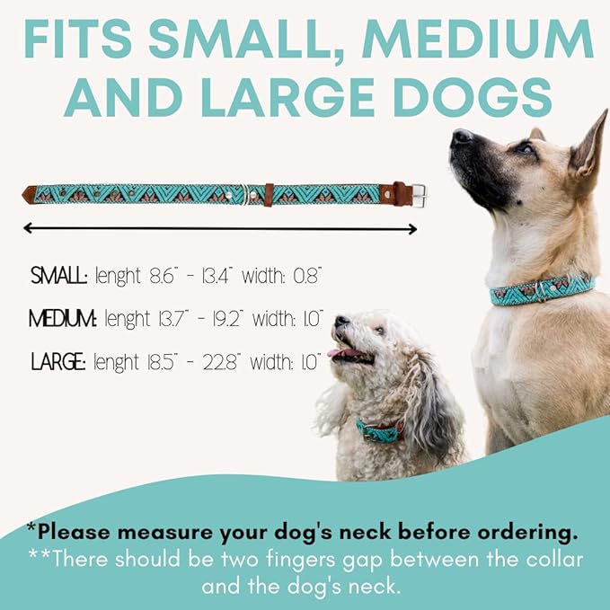 Western Dog Collar – Leather Dog Collar Embroidered Design for Small Medium Large Dogs & Puppy Pets - Aztec & Southwest for Boy and Girl Female & Male Dogs - Collar Para Perros (Small, Teal)