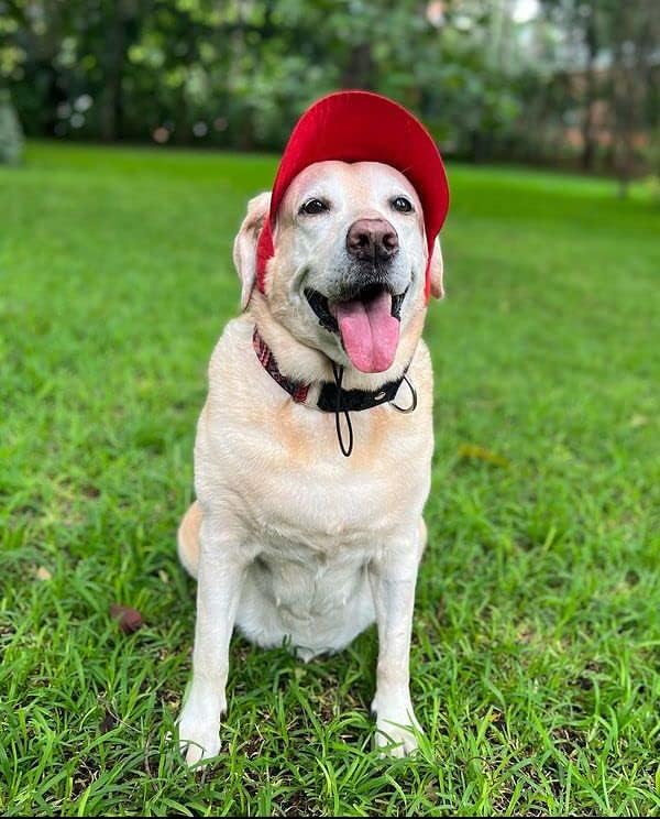 Red Baseball Cap (Small)
