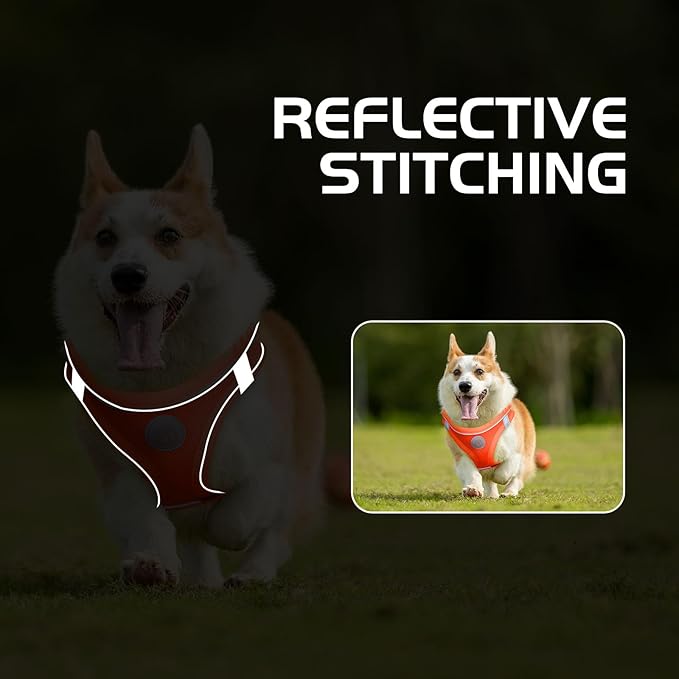 Soft Mesh Dog Harness and Leash Set, No Pull Puppy Harness and Leash Set, Reflective Step in Harness for Small Medium Dogs, Easy Walk Escape Proof Vest Harnesses (Orange, L)