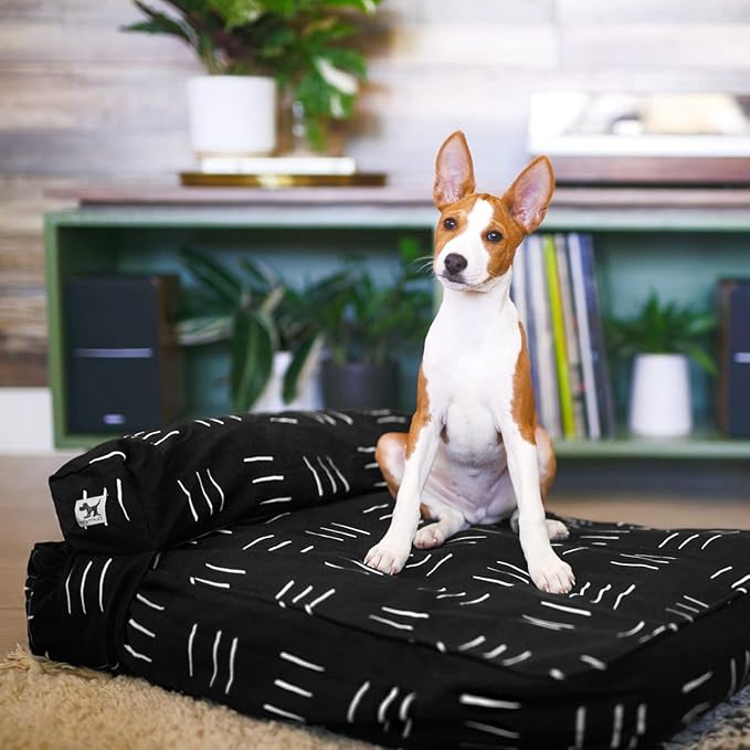 Molly Mutt Small Dog Bed Cover - Dreams - Measures 22"X27"X5"- 100% Cotton - Durable - Breathable - Sustainable - Machine Washable Dog Bed Cover