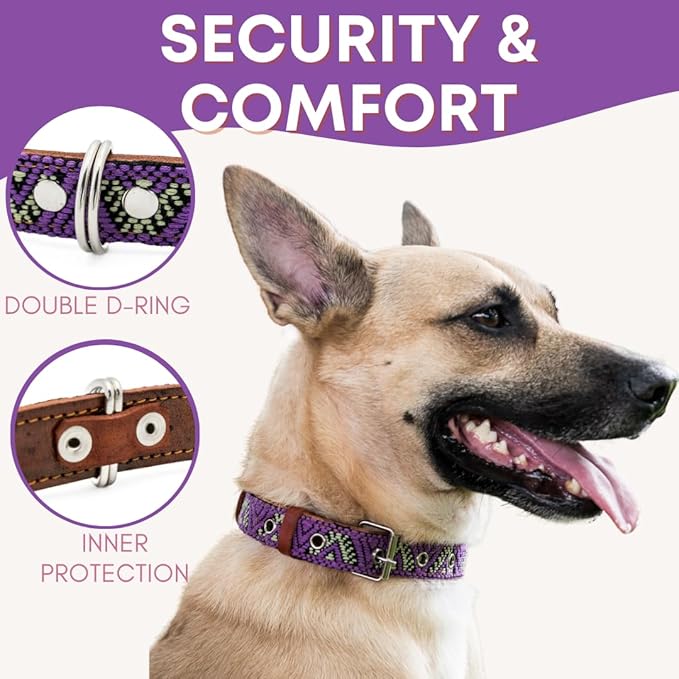Western Dog Collar – Leather Embroidered Design for Small Medium Large Dogs & Puppy Pets - Aztec & Southwest for Boy and Girl Female & Male Dogs - Collar para Perros Beaded (Small, Amethyst)