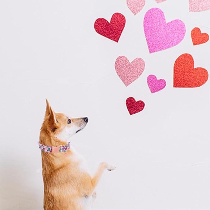 Valentine's Dog Collar, Heart Dog Collar for Small Medium Large Girl Boy Dogs or Cats, Wedding Dog Collar Match Dog Leash, Pet Collar with Metal Buckle, M
