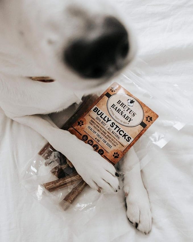 BRUTUS & BARNABY Thick Bully Sticks for Dogs – Odor Free Chews for Large, Medium & Small Breeds – Grain-Free, Rawhide-Free, Digestible Dog Treats – Grass-Fed Beef Chews for Aggressive Chewers