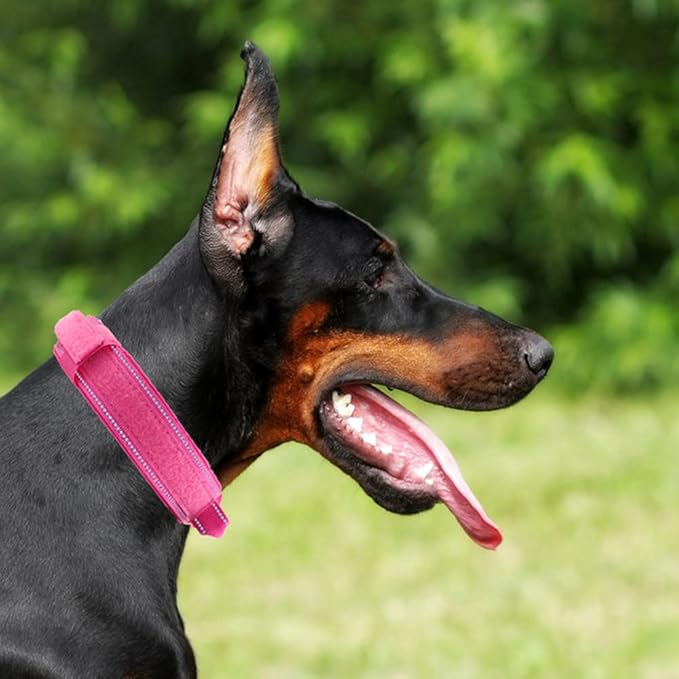 Tactical Dog Collar with Heavy Duty Metal Buckle and Control Handle for Medium Large Dogs Training(Pink, Medium)