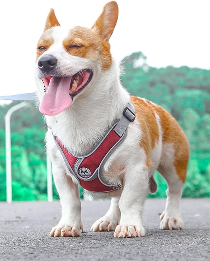 Large Dog Harness and Leash Set,No Pull Adjustable Step in Soft Mesh Vest Harness,Easy Walk Reflective Pet Harness with Padded Handle for Walking Training Small Medium Large Dogs and Cats (Red, L)