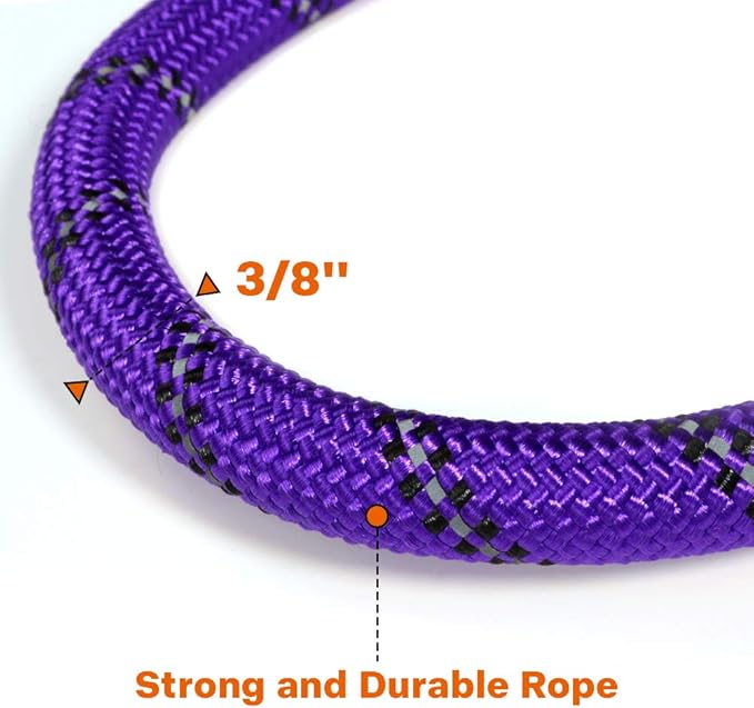 Taglory Rope Dog Leash 4 FT with Comfortable Padded Handle, Highly Reflective Threads Leash for Small Dogs, 3/8 inch, Purple