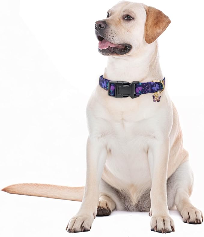 Dog Collars with Buckle Adjustable for Cute Girl Female Boy Dogs,Special Soft and Fancy Dog Pet Collar with Flower Design for Small Medium Large Dogs (L, Purple Butterfly)