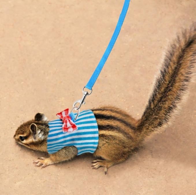 Small Pet Outdoor Walking Harness Vest and Leash Set with Cute Bowknot Decor Chest Strap Harness for Rat Ferret Hamster Squirrel Clothes Accessory, Blue Stripe