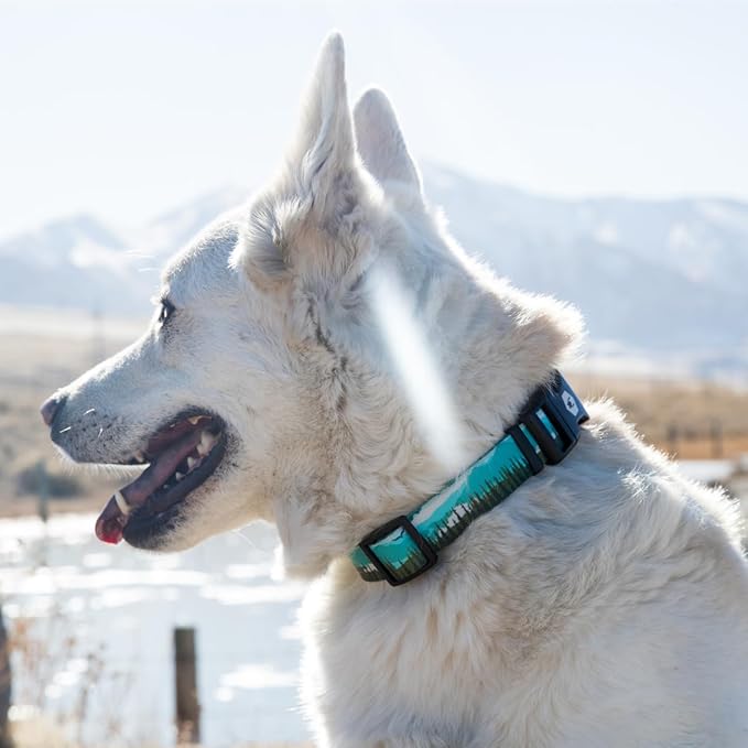 Wolfgang Heavy Duty, Adjustable Dog Collar with Quick Release Nylon Buckle for Walking & Training, GreatEscape Print, Large