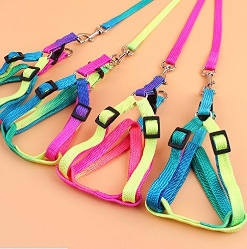 Hypeety Pet Bird Harness and Leash with Buckle Adorable Rainbow Design Safe Parrot Leash Pet Harness Outdoor Adjustable Anti Bite Training Rope for Macaw Large Size Bird (1cm × 47.24in)