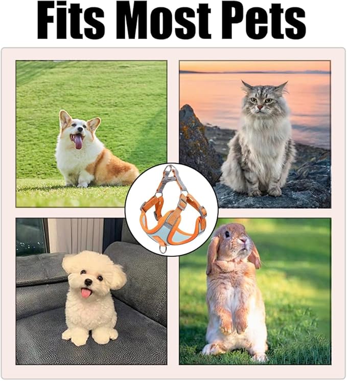 Cat Harness and Leash Escape Proof Adjustable Cat Leash Breathable Cat Vest Harness with Reflective Strips for Small Kitten Puppy Rabbit Orange and Blue (L)
