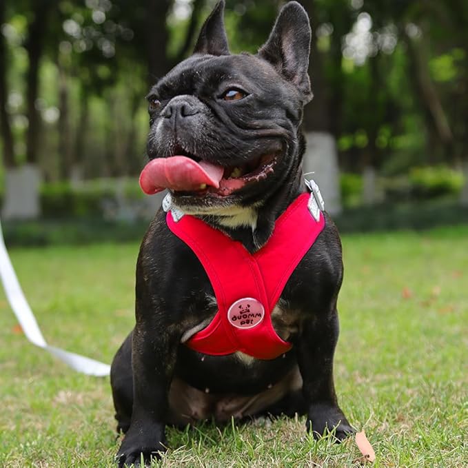 FEimaX Dog Harness Pet X Frame No Pull Step-in Harnesses with Leash Set, Adjustable Reflective Choke Free Puppy with Padded Vest for Small, Medium Dogs and Cats Walking Training