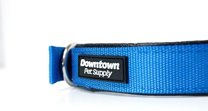 Downtown Pet Supply Deluxe Padded Adjustable Collar - Blue XL, Water Resistant & Machine Washable With Metal D-Ring