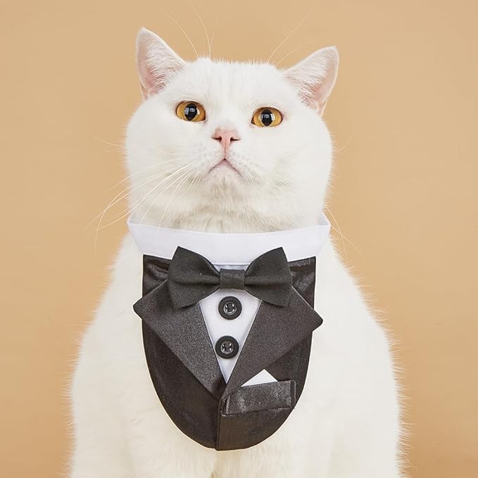 Tuxedo Dog Collar for Wedding Engagement and Birthday, Formal Dog Bandana Collar Costume with Bow Tie and Adjustable Buckle,Suitable for Small Medium Large Dog. (Black 2, M)