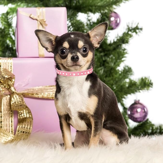 Puppy Collar and Leash with Bling Diamond, Pretty Crystal Sparkly Rhinestone Glitter Jewel Girls Cat Collars for XXS Xs Small Medium Pet Female Dogs Boys Kitten, Hot Pink XXSmall