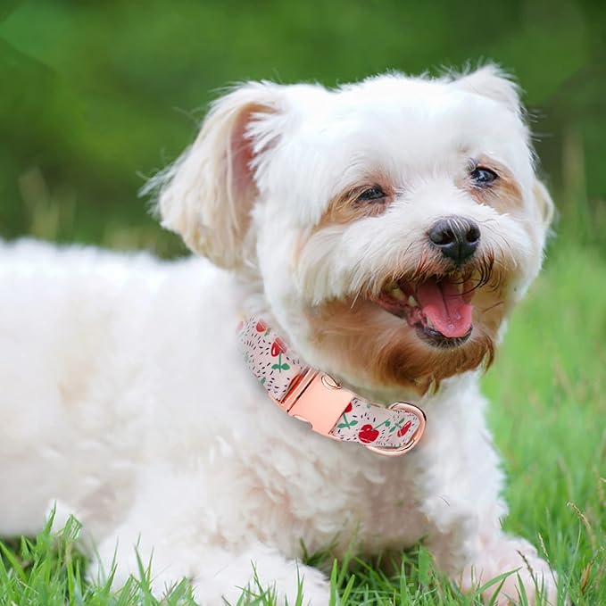 Dog Collar and Leash Set Girls Adjustable Puppy Collars with Floral Bow Tie for Small Medium Large Female Dogs, Cherry, S