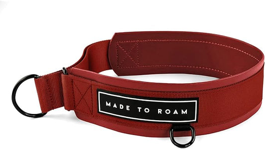 MADE TO ROAM Premium Everyday Dog Collar - Martingale Style No Pull Vegan Leather Collar, Heavy Duty and Lightweight for Small, Medium, Large Dogs (Texas Flair, Size 12)